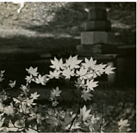 Sung Doo-kyung, Untitled, Date unknown