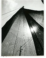 Seok-je Lim, Fishing Net and Sun, 1946