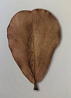 Ana Mendieta, Untitled, 1984