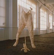 Kiki Smith, Untitled (Paper Body with Fetus), 1989