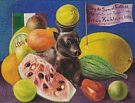 Frida Kahlo, Naturaleza muerta (Soy de Samuel Fastlicht), 1951