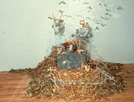 Amalia Mesa-Bains, Frida Temple, 1987