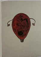 Kiki Smith, Womb with Fetus, 1988
