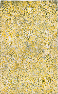 Emily Kam Kngwarray, Kam, 1988