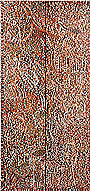 Emily Kam Kngwarray, Awely, 1989