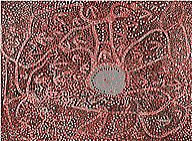 Emily Kam Kngwarray, Untitled (Country and Emu Tracking), 1990