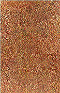 Emily Kam Kngwarray, Untitled (Alhalker), 1991