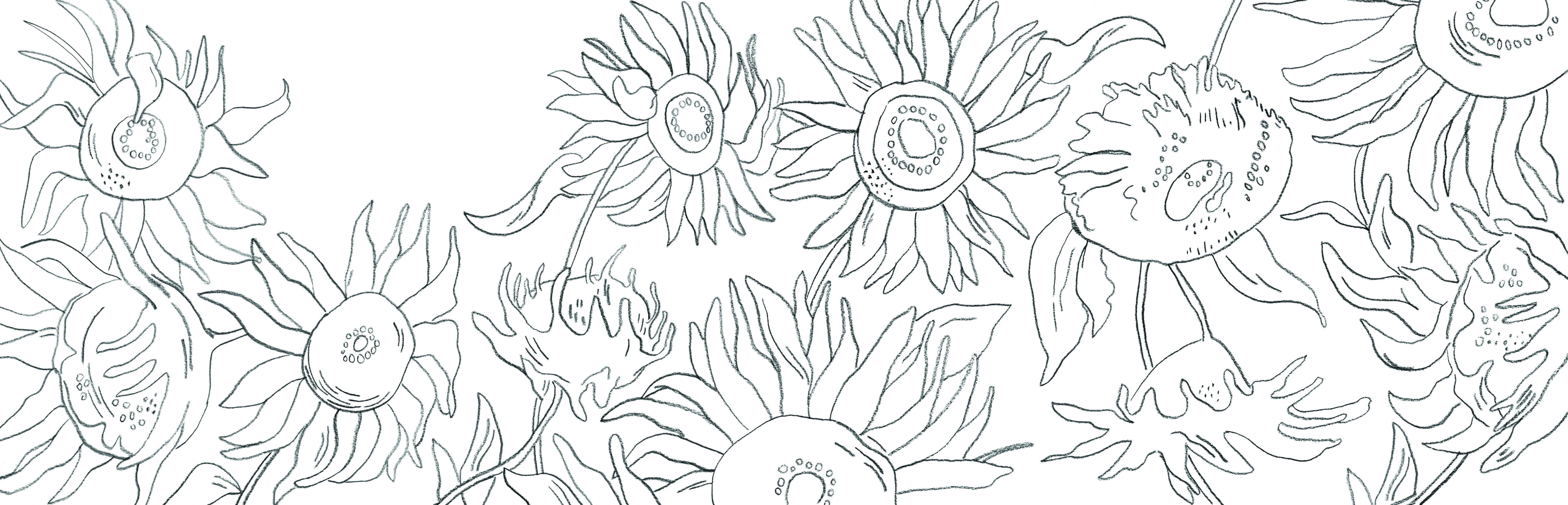 Featured image of post Flower Drawing Sunflower Drawing For Kids / You can edit any of drawings via our online image editor before downloading.