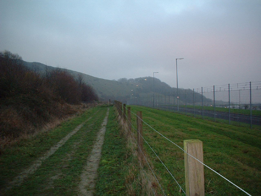 Perimeter Footpath, Heath Bunting