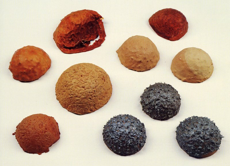 Eva Hesse (test pieces) 1967