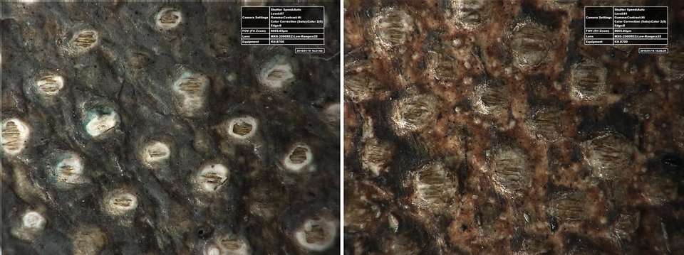 High-resolution micrograph of Girl in a Chemise c.1905 showing lower blue and upper grey layers (a) and the background to the right (b)