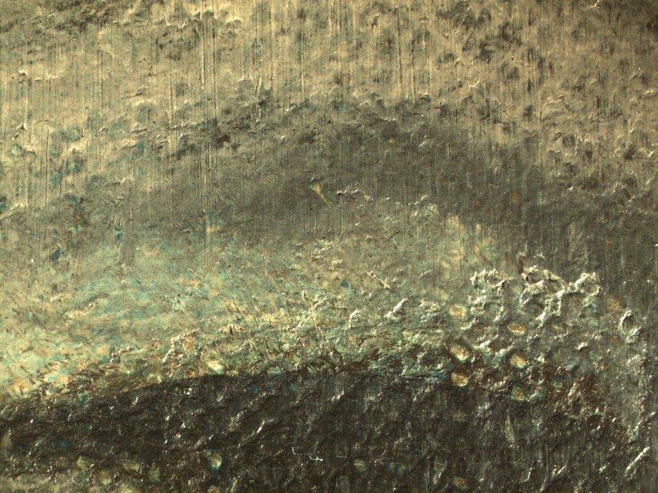 Micrograph showing the eyelid of Girl in a Chemise c.1905