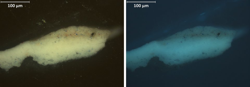 Cross-section of paint from the white impasted strap of the chemise in visible light (vis) and ultraviolet light (uv)