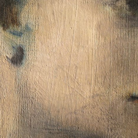 Detail of cheek of Girl in a Chemise c.1905