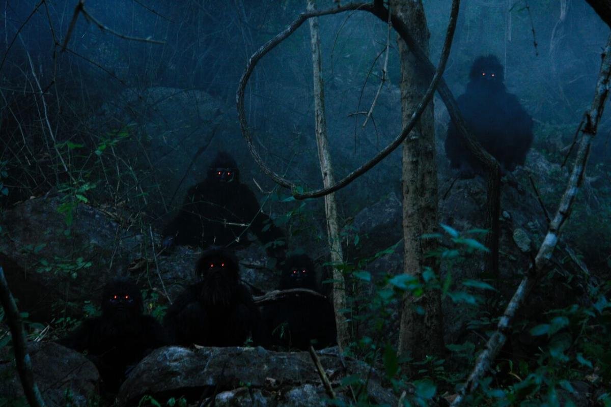 Apichatpong Weerasethakul: Uncle Boonmee Who Can Recall his Past Lives