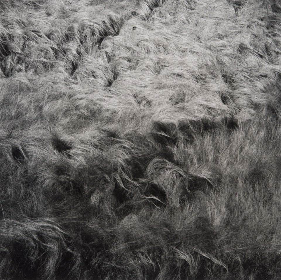 Harry Callahan Georgia Mountains 1988