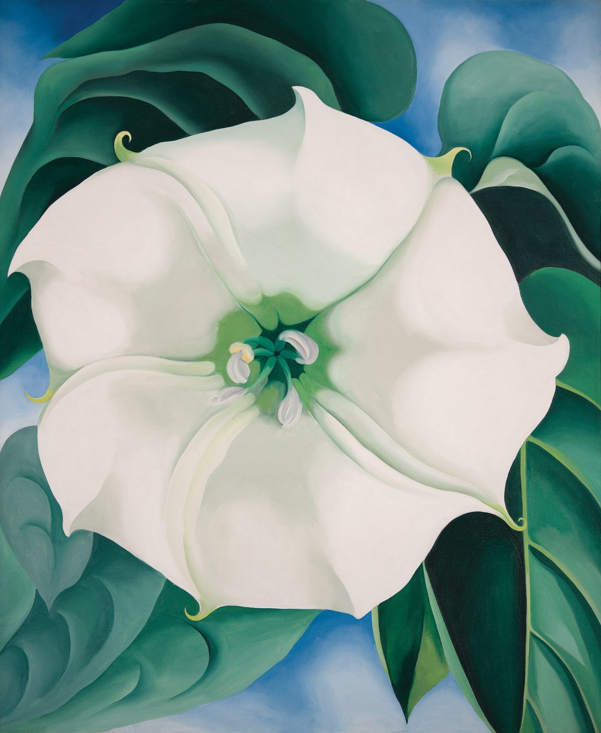 Georgia O’Keeffe 1887-1986 Jimson Weed/White Flower No. 1 1932 Oil paint on canvas 48 x 40 inches Crystal Bridges Museum of American Art, Arkansas, USA © 2016 Georgia O'Keeffe Museum/DACS, London  Photography by Edward C. Robison III