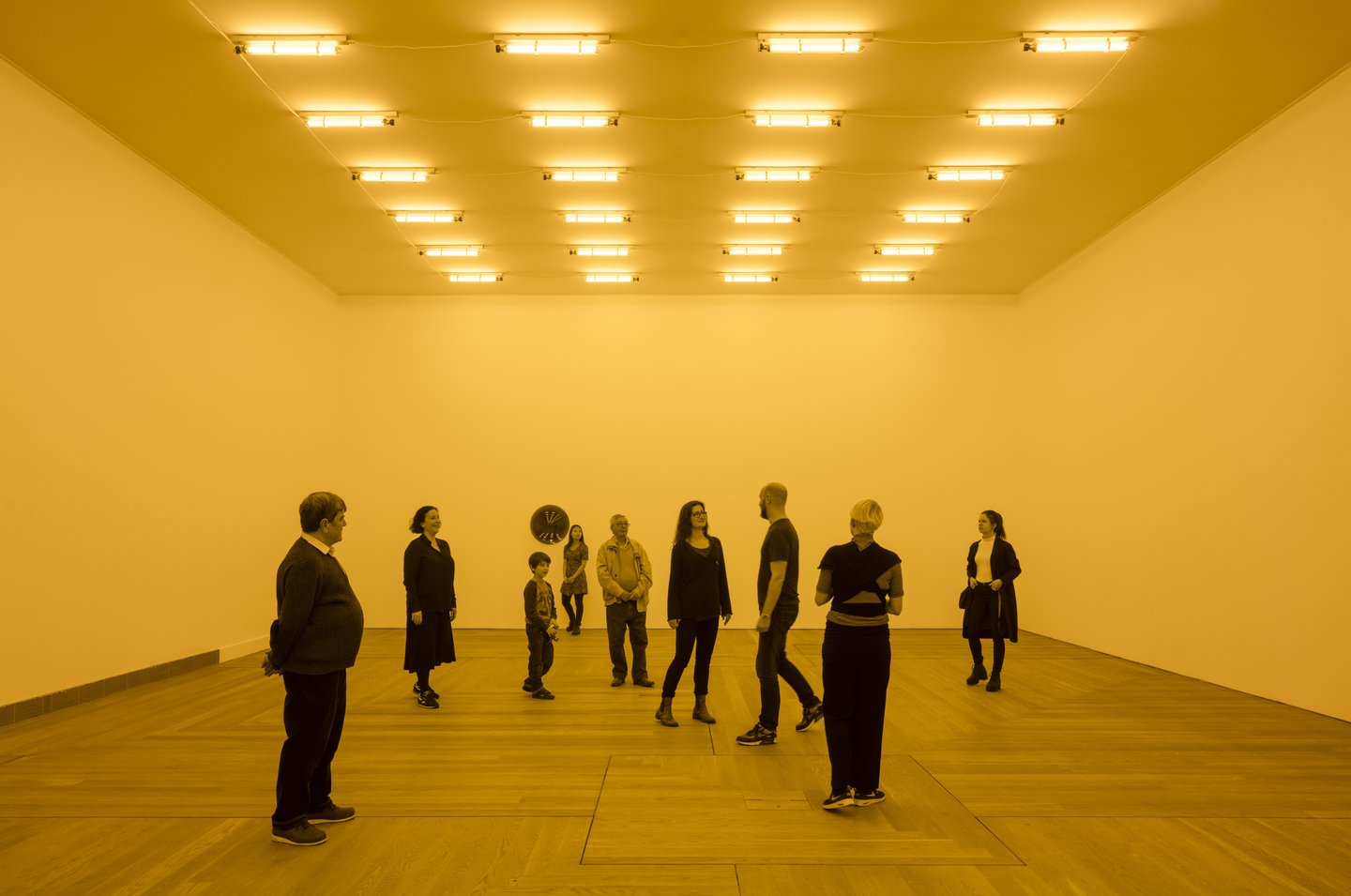 Curator