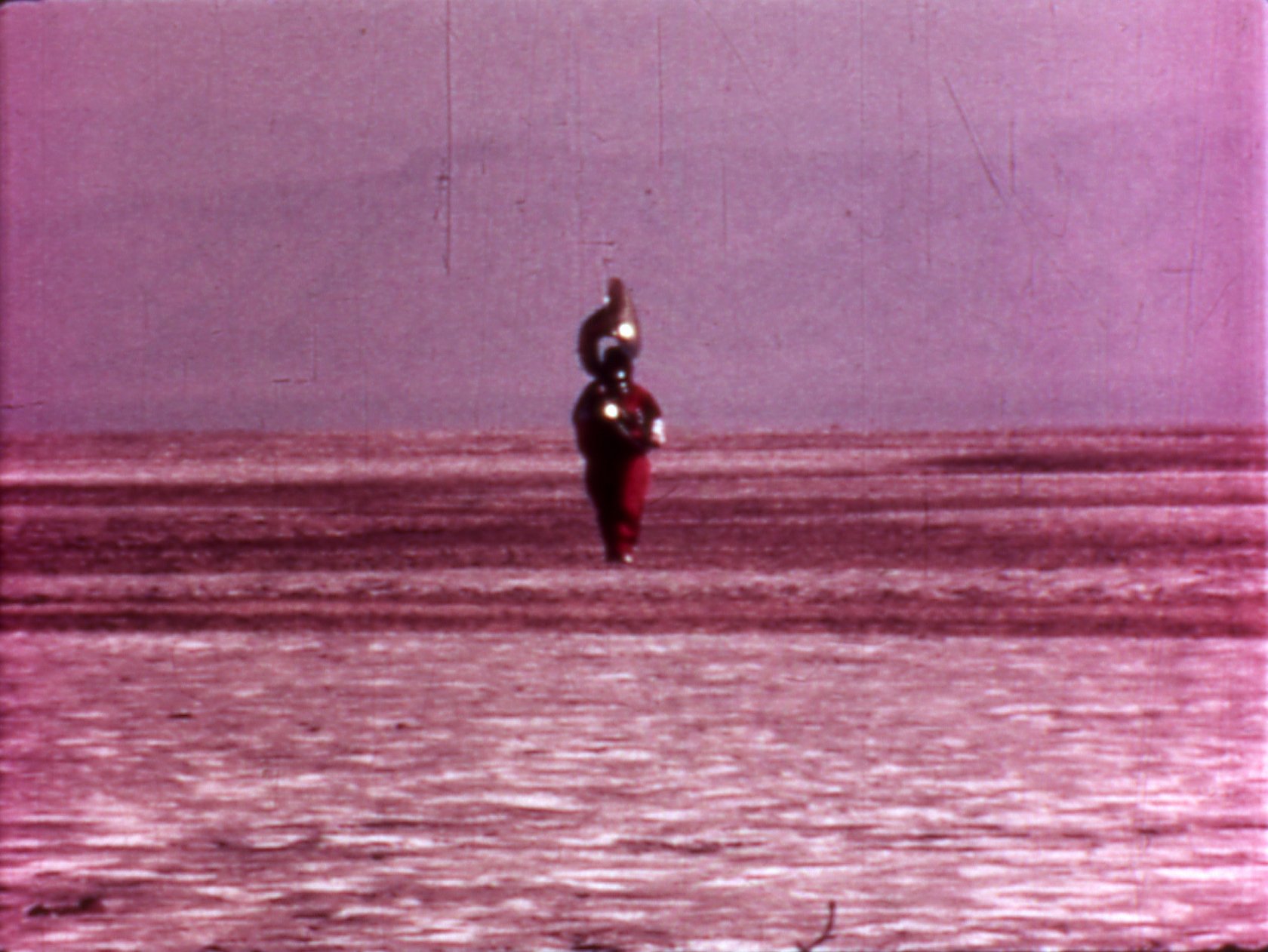 Chick Strand Artificial Paradise Film at Tate Modern Tate