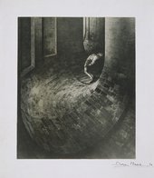 Dora Maar Exhibition At Tate Modern Tate