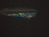 Cross-section through a dark shadow of the grey drapery, photographed at x225 magnification. From the bottom: fragment of the pink ground; thin, dark grey paint; opaque mid-blue opaque paint; opaque grey paint; varnish