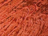 Fig.19 Detail at x8 magnification of the red curtain, showing opaque red paint glazed with translucent red and also dark red