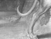 Fig.8 Infrared details of the animals and trees