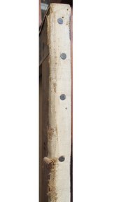 Being a woman essay image