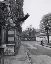 Yves Klein Leap into the Void 1960