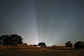Light above Michael Jacksons Neverland ranch in California several days after his death in June 2009