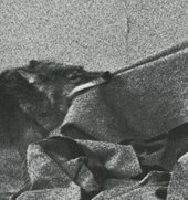 Joseph Beuys, Coyote, 1974, photograph by Caroline Tisdall (detail)