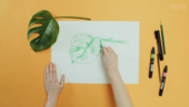 thumbnail with a yellow background and a pair of hands drawing a plant.