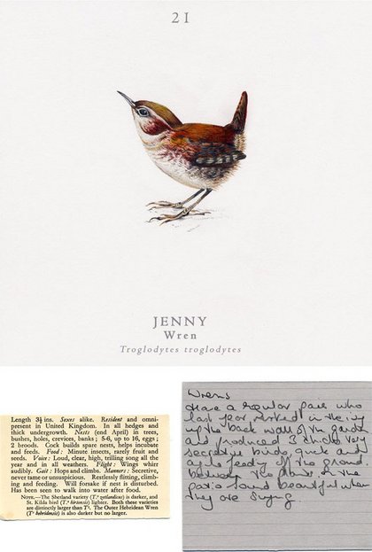 Peace and harmony image