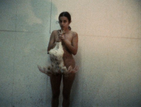 Ana Mendieta: ‘Pain of Cuba / body I am’ – Film at Tate ...
Ana Mendieta Chicken Piece