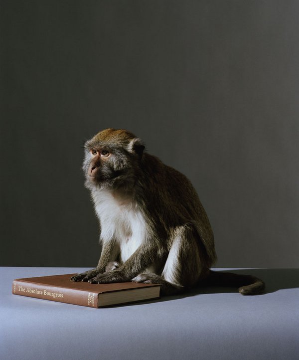 Performing photographs: Photography, performance and affect