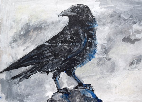 St Ives School Gcse Art And Design Exhibition Exhibition At Tate St Ives Tate