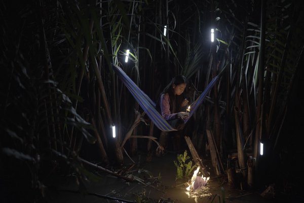 Thao Nguyen Phan – Exhibition at Tate St Ives - Vimarsana News