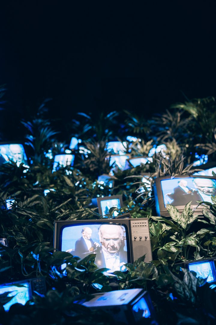 tv screens surrounded by plants