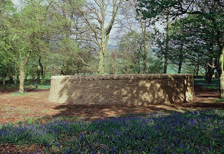 Andy goldsworthy quotes image