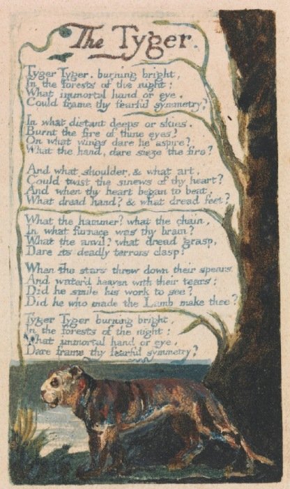 the tyger and the lamb analysis