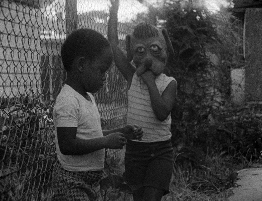 Sheep killer essay image