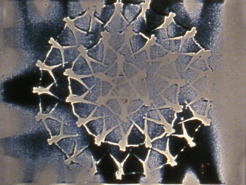 Chick Strand Artificial Paradise Film at Tate Modern Tate