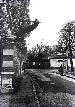 Leap into the Void, Yves Klein